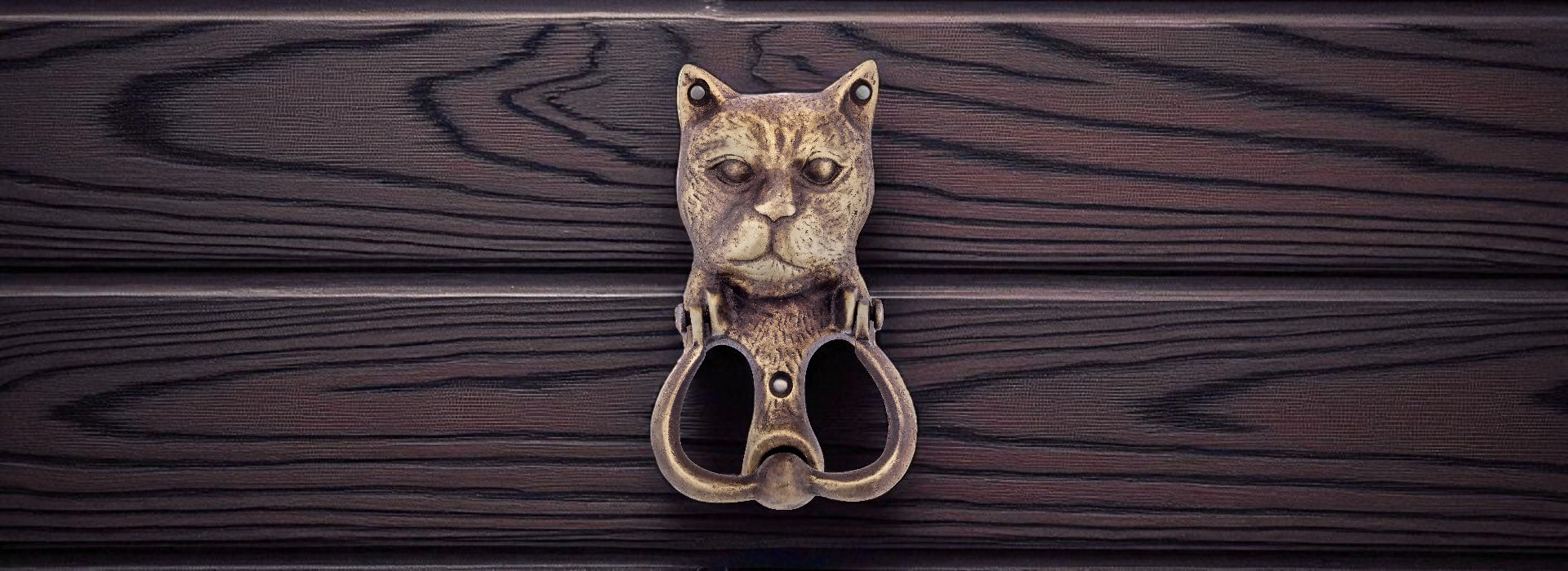 Ürün Kapak Fotoğrafı