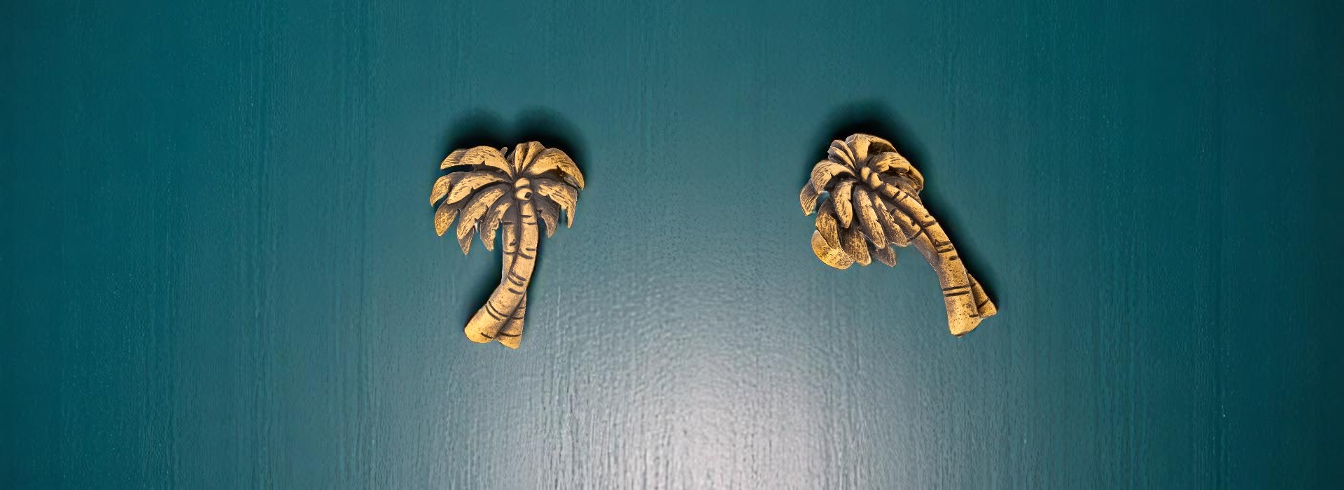 Ürün Kapak Fotoğrafı