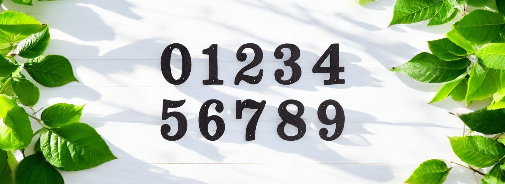 Ürün Kapak Fotoğrafı