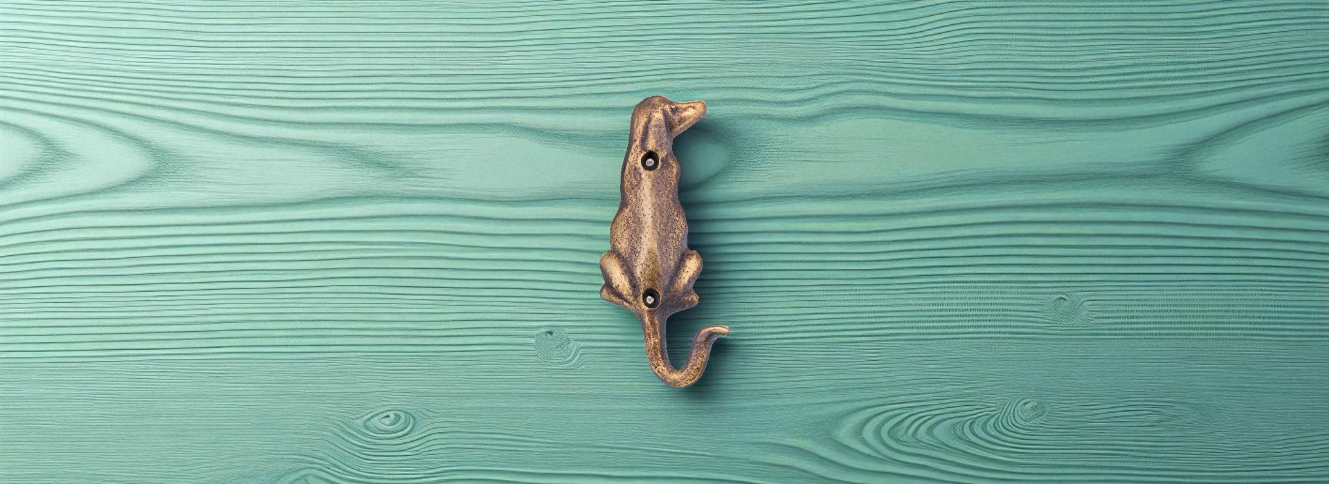 Ürün Kapak Fotoğrafı